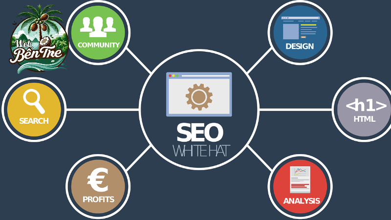 seo website